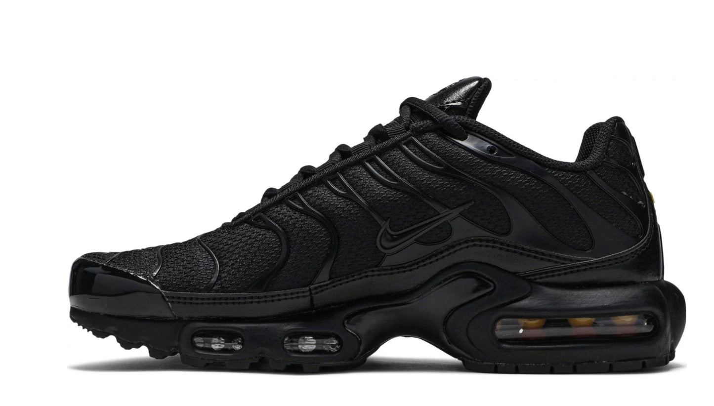 604133-airmax plus