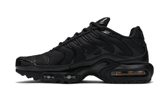 604133-airmax plus